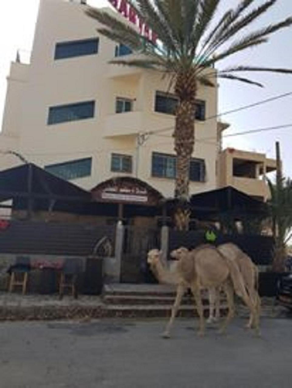 Magtas Hotel Jericho Buitenkant foto